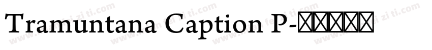 Tramuntana Caption P字体转换